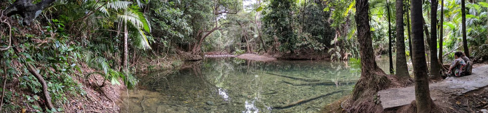 Tropical rainforest