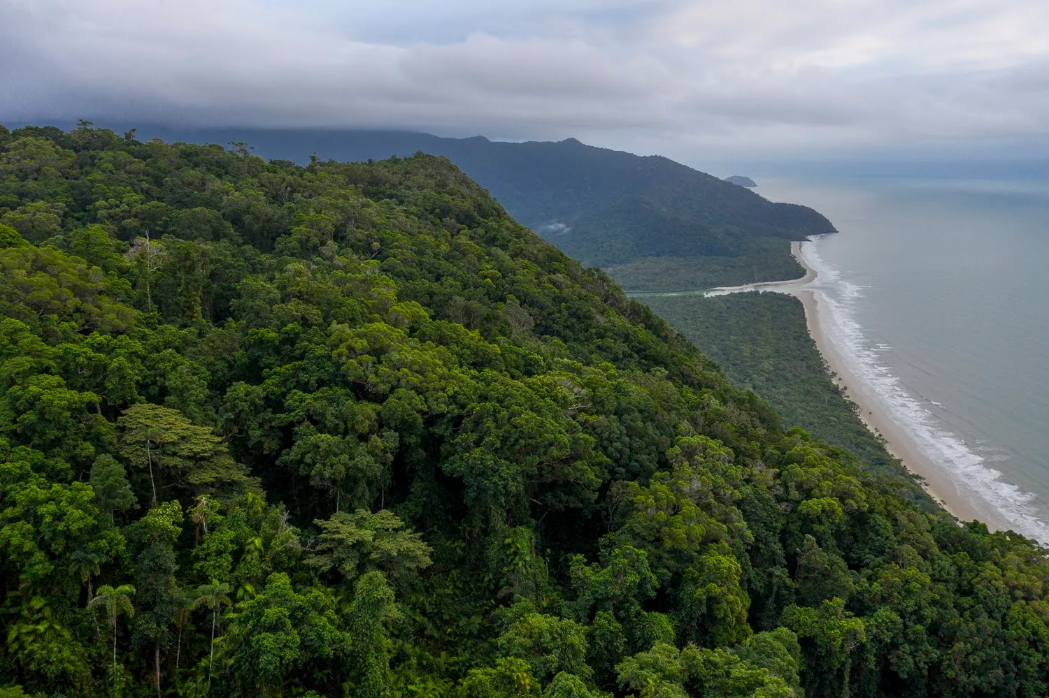 Forested Australian bushland
